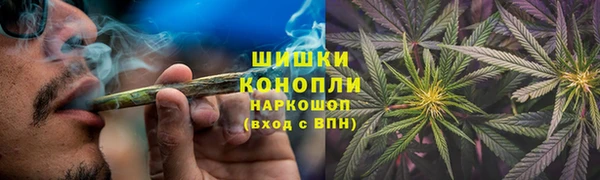 твердый Ельня