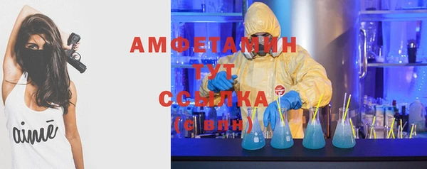 твердый Ельня
