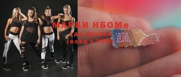 твердый Ельня