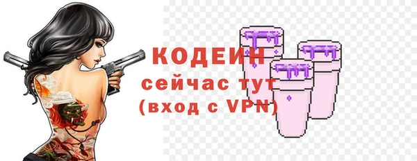 твердый Ельня