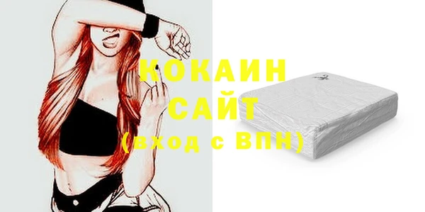 твердый Ельня