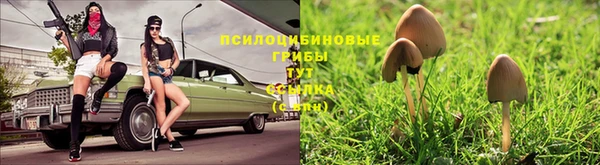 твердый Ельня