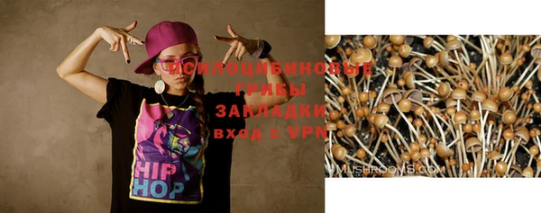гашик Елабуга