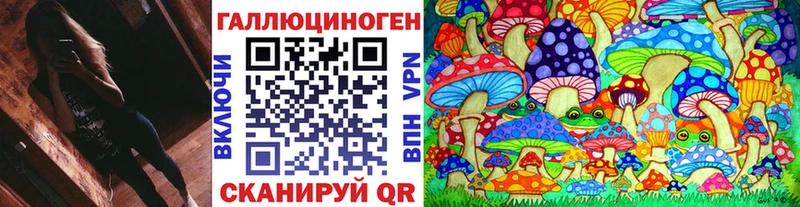 Псилоцибиновые грибы прущие грибы  Шлиссельбург 